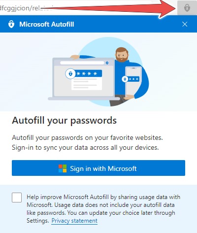 Microsoft password manager